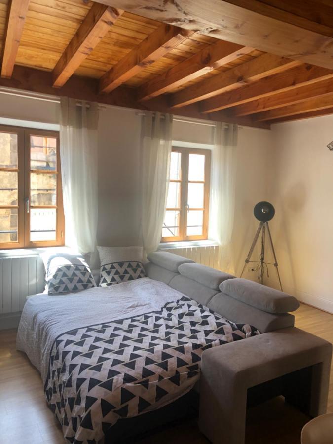 Le Double Pirou # 2 Appartements # Halte Auvergne Thiers Extérieur photo